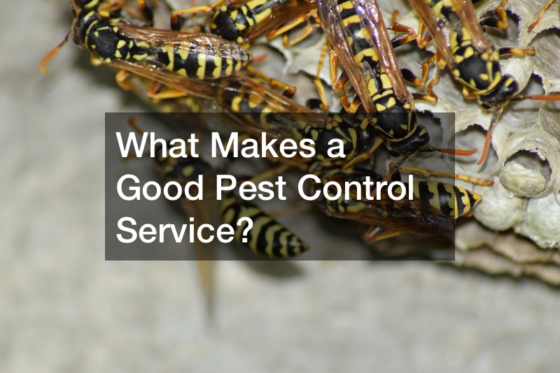 What Makes a Good Pest Control Service?
