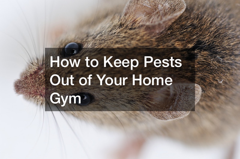 How to Keep Pests Out of Your Home Gym