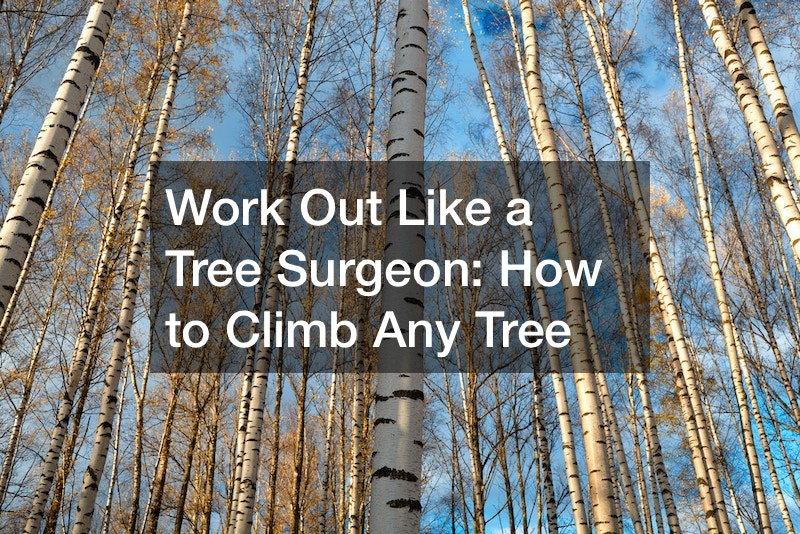 Work Out Like a Tree Surgeon  How to Climb Any Tree