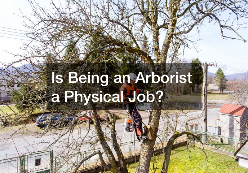 Is Being an Arborist a Physical Job?