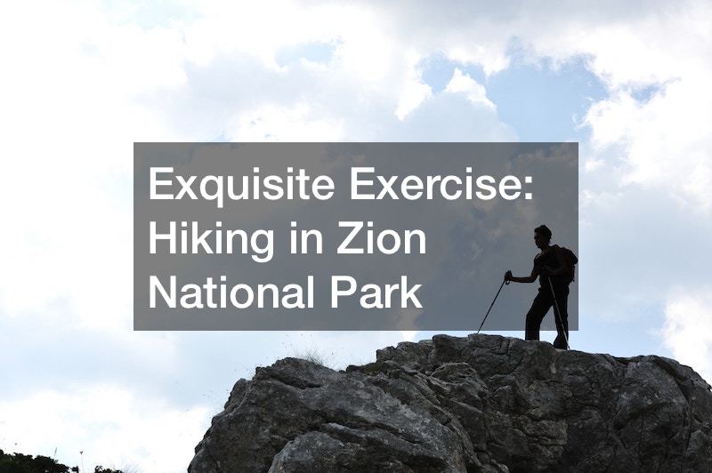 Exquisite Exercise  Hiking in Zion National Park